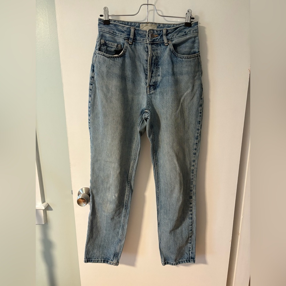 Everlane 90s High Rise Cheeky Jean size 27